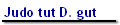 Judo tut D. gut
