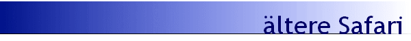 ltere Safari